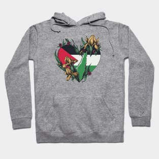 Israel Gaza war Hoodie